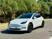 特斯拉 Model Y 2021款 长续航全轮驱动版